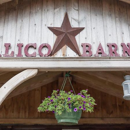 Calico Barn Pansiyon Widdrington Dış mekan fotoğraf