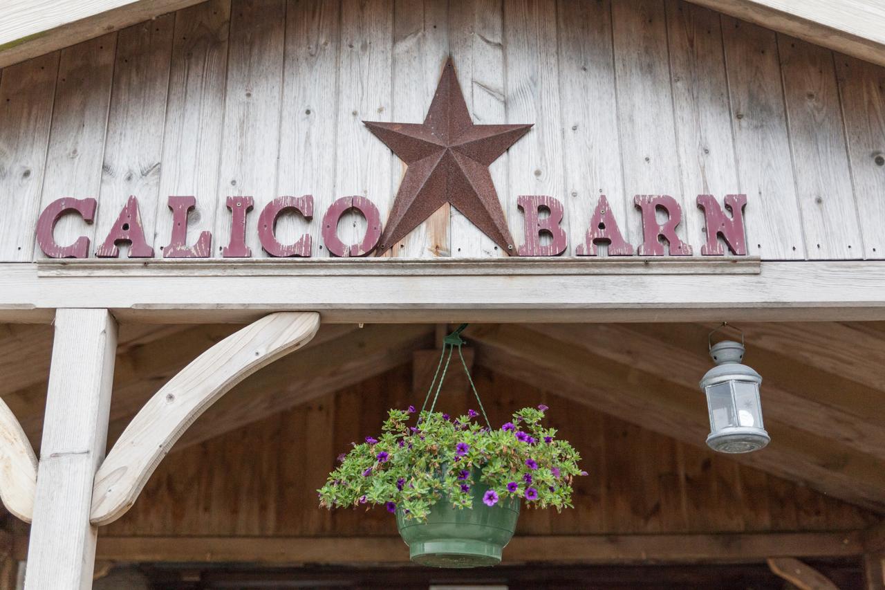 Calico Barn Pansiyon Widdrington Dış mekan fotoğraf